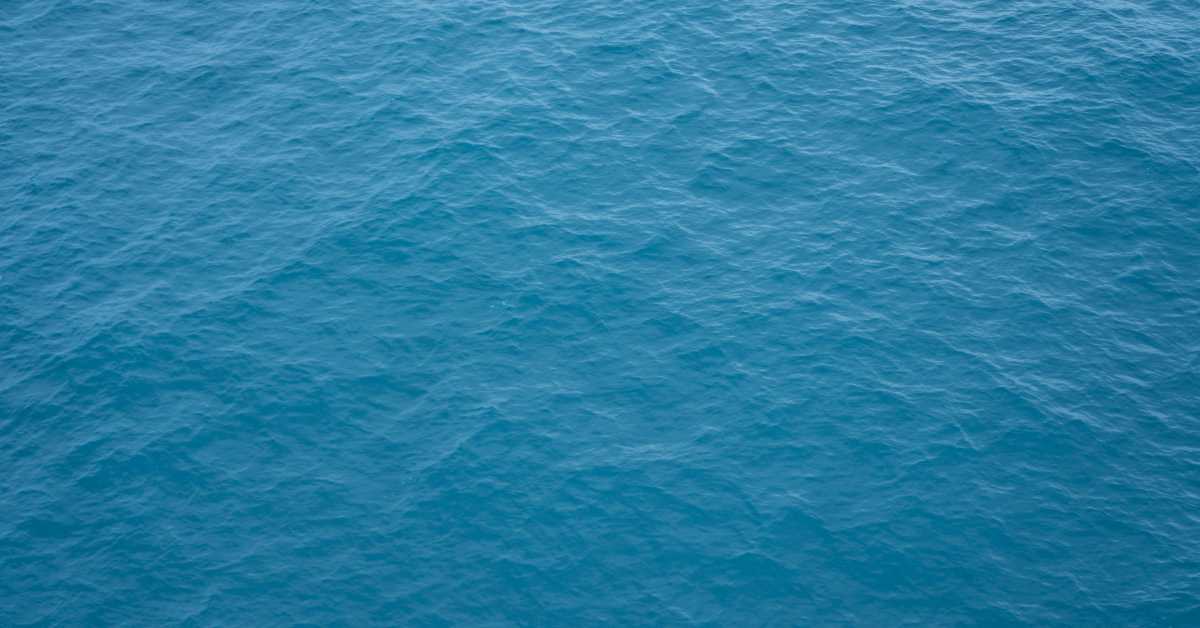 DWF sponsors full participation of two women from the water sector in Brazil and South Africa for participating in the World Water Camp 2022.